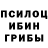 Псилоцибиновые грибы мухоморы <333