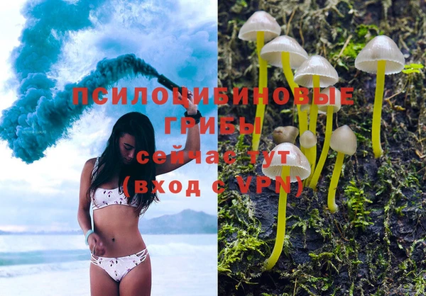 бошки Магадан