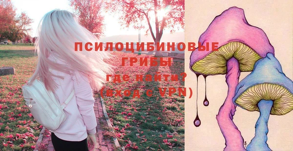 бошки Магадан
