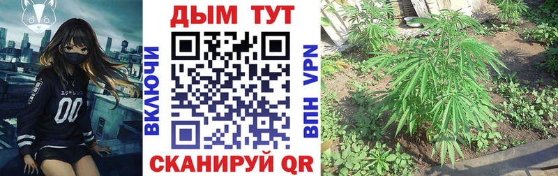Купить где  Вологда  Марихуана OG Kush 